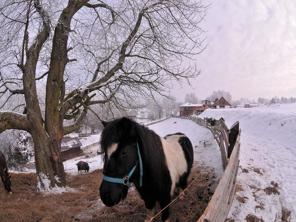 Rancho Zapotoczny Villa Łagów Екстериор снимка